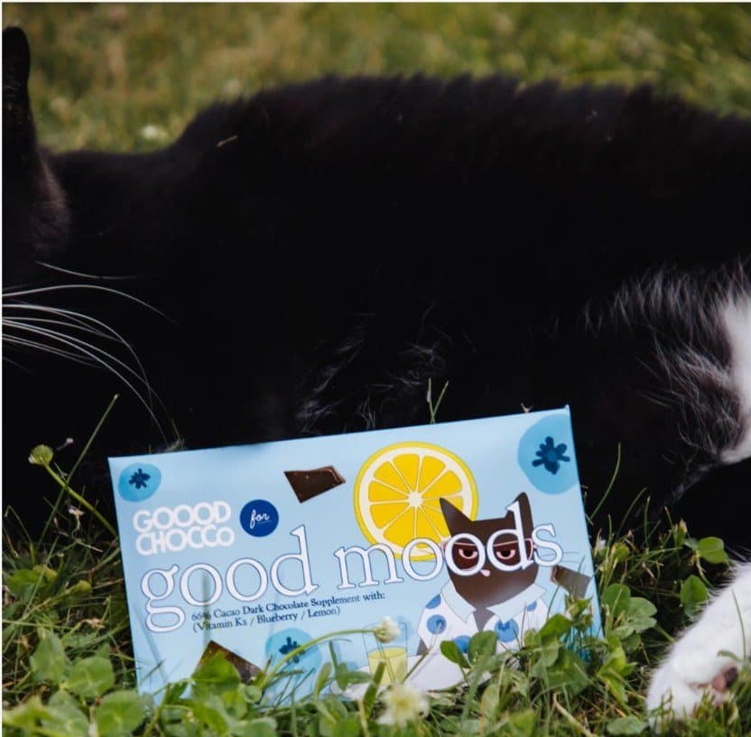 The real cat with a Good Moods bar